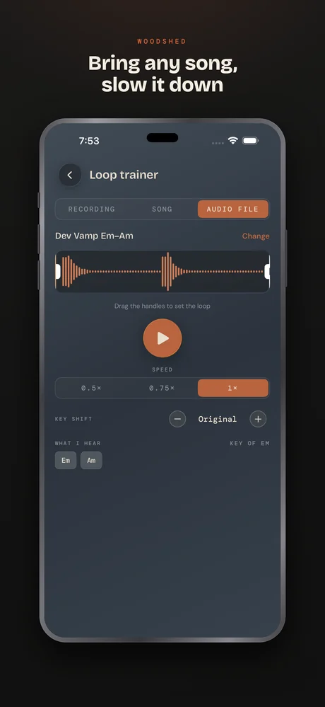 Bass Buddha on iPhone — Woodshed — bring any song, slow it down